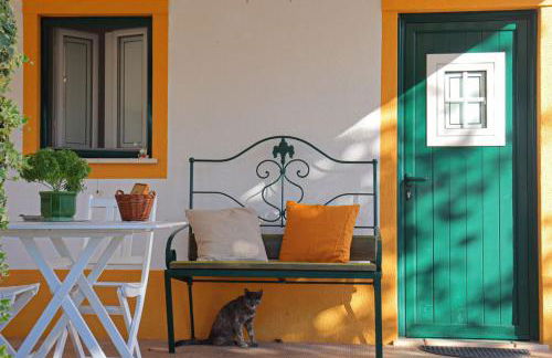 Casinha Robusto - Foto 3