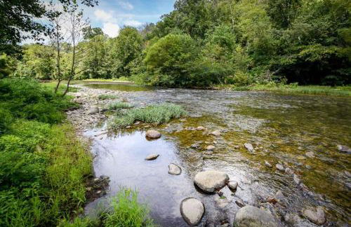 Pool and Riverfront! Couples Retreat in Smoky Mtns - Foto 3