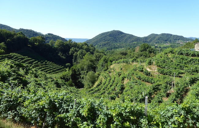 Belvilla by OYO Riva dei Tor - Foto 33