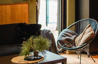 Domek SzumiSosna1 - Foto 14