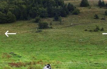 Appartement au calme dans residence avec piscine - Foto 49