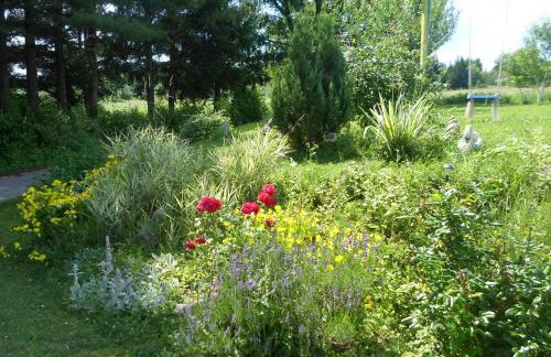 House Petra - Foto 31