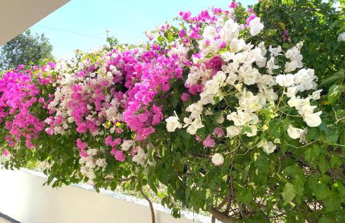 GRANDE VILLA LORIDA - Foto 26