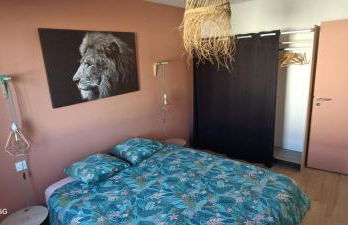 Apb Spa locations avec jacuzzi privatif - Foto 7