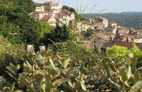 La Rose des Claux - Foto 49