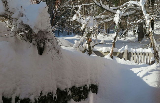 Waterval in het Huis Boshoek - Foto 37