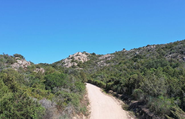 Capo Ceraso Family Residence - Photo 63