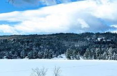 Lakewood Bungalow - Foto 59