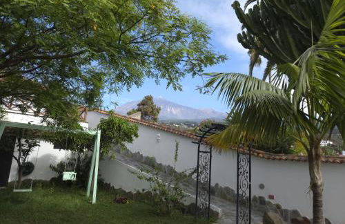 Gardel Esencia - Foto 12