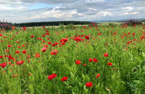 No 1 Ramageton at Carnell Estates - Foto 6