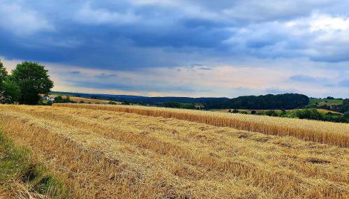 Ferienwohnung im Siebengebirge nähe Köln/Bonn - Foto 4