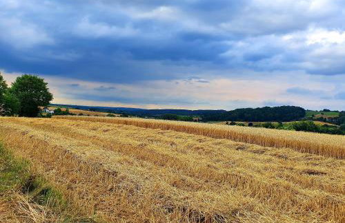 Ferienwohnung im Siebengebirge nähe Köln/Bonn - Foto 4
