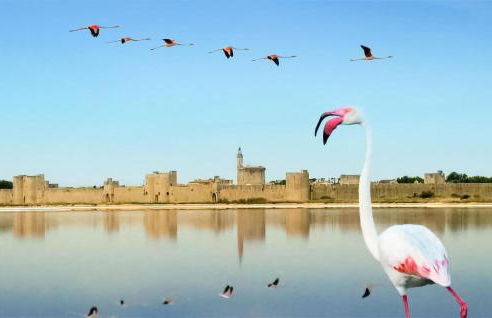 Lovely Home In Arles With Wifi - Foto 27