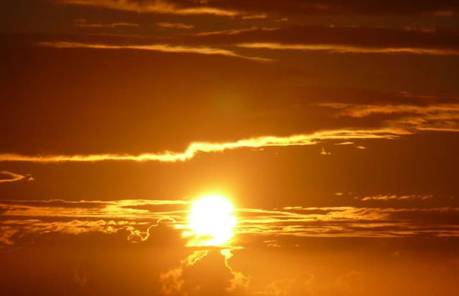 Bethells Beach Cottages - Foto 47