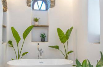 Livadi house Tinos 2 katwi - Foto 39