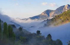 Saluda Alta - Foto 14