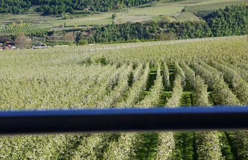 Waalhof Ferienwohnung Mohnblume - Foto 22