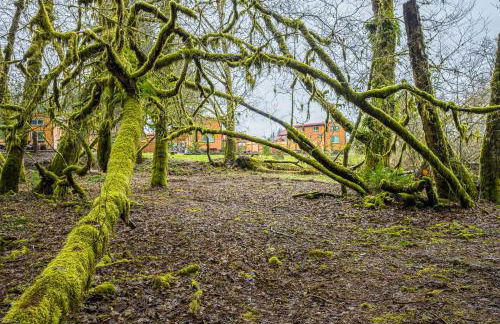 Rainforest Tiny Home Retreat Farm House - Foto 35