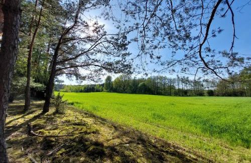 Woodland - dom z sauną i balią - Foto 33