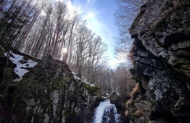 LA CASETTA DELLA NONNA - Photo 44