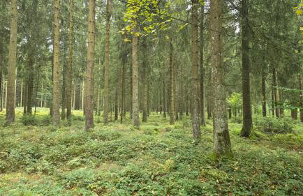 Ferienhaus Toni - Foto 32