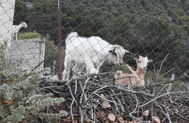 Casa Rural Cueva El Sauce - Foto 31