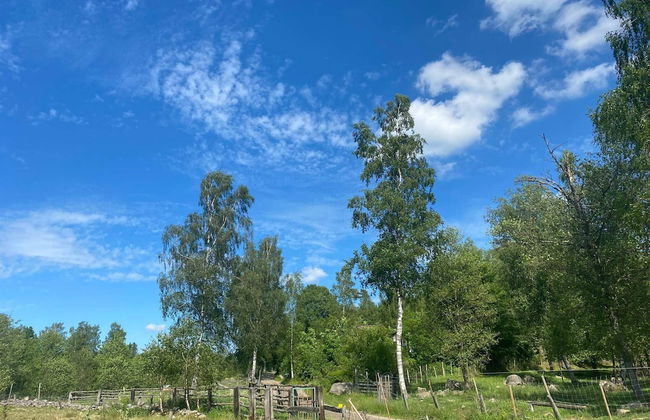 Holiday Home With Swimming Pool - Foto 10