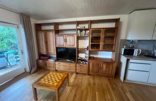 Beautiful apartment & pool Black Forest Häusern 5 people - Foto 4