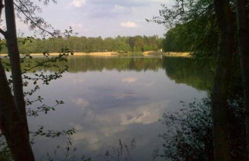 Holiday Home Bungalow Waldidyll by Interhome - Foto 6