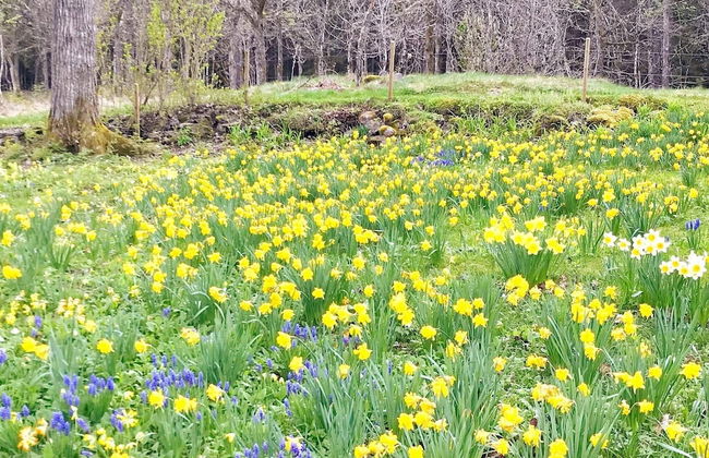 6 Person Holiday Home in Bralanda-by Traum - Foto 27