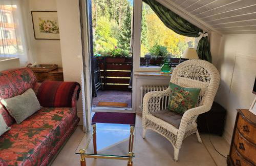 Schwarzwald-Ferienwohnungen Begert - Foto 52