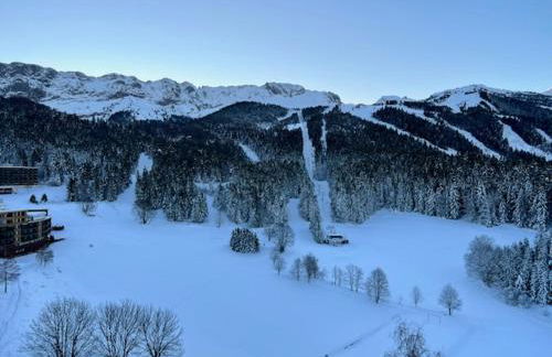 Chaleureux studio pied des pistes Les Glovettes VILLARD DE LANS - Foto 12