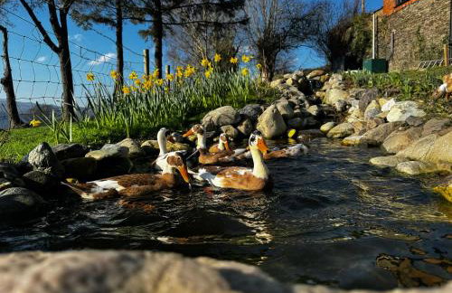 Pets- Garden- Bbq- Parking- Fireplace- Sleeps 6 - Foto 26