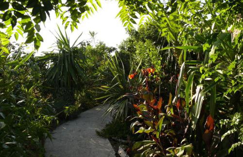 La Coccinelle - Foto 42