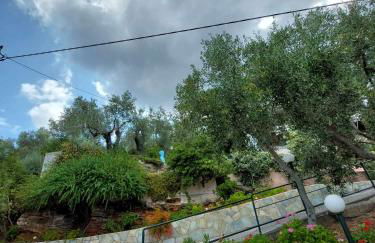 Violetta Studios & Apartments - Foto 68