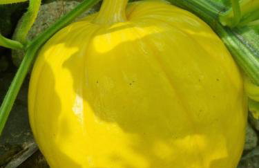 Ferienhof von Hammel - Foto 54