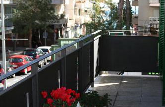 Calamilloraptm - Foto 23