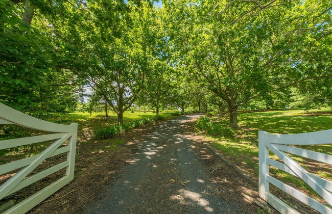 Magnificent Karaka Estate with Swimming Pool - Foto 29