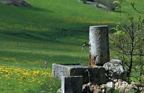 Chalet du champ Martel - Foto 18