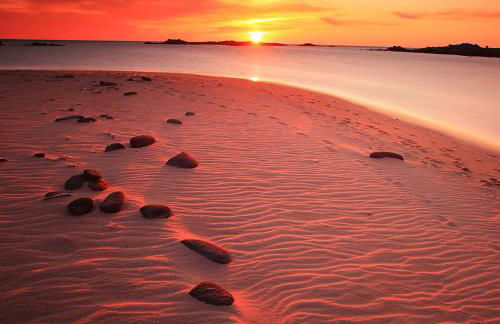 L'Alivi di l'Osari - Foto 31