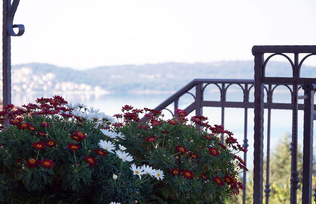 Cvita apartments - Foto 59