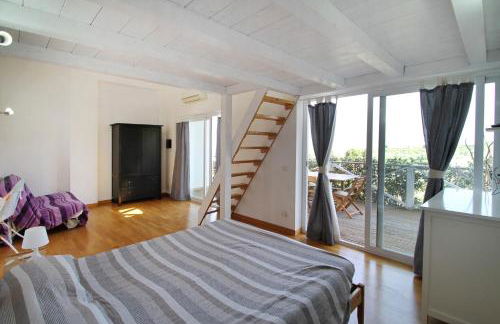 La Gabbianella E Il Gatto - Foto 31