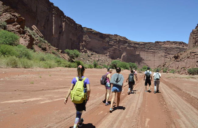 Talampaya Canyon or Don Eduardo Gorge Hiking Tour - Foto 2
