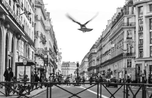 Appart XL "So Zen" - 3 chambres - 8 pers - 20mn to Paris - Foto 42