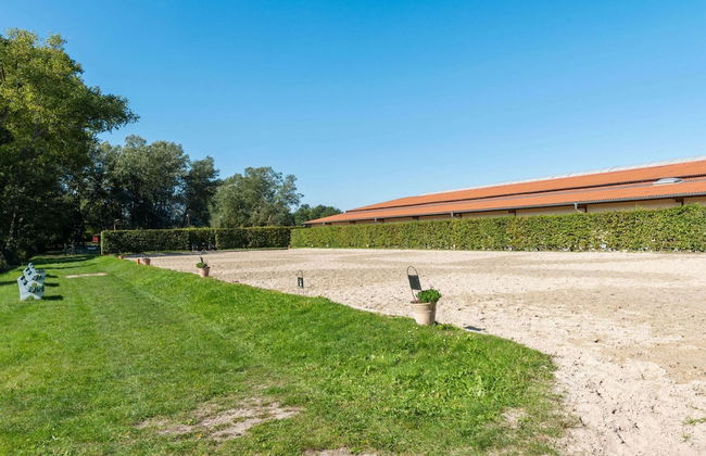 Pretty Holiday Home in Eschede Germany near Forest - Foto 29