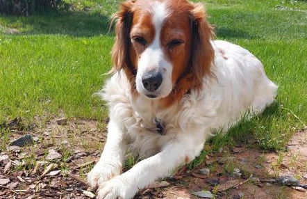 Bergfeldhof - Photo 13