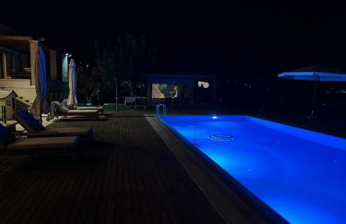 Villa Kalamos / Sea View and Pool nearby Athens - Foto 66