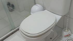 Executive Celita Franco - Foto 5