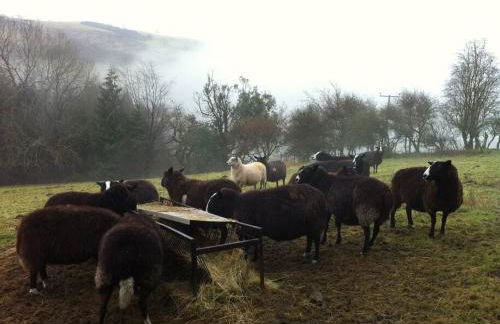 The Shippen - Open-plan barn conversion, high-spec, stunning views - Foto 23