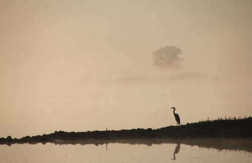 Apartment in Müncheberg 53547 - Photo 16